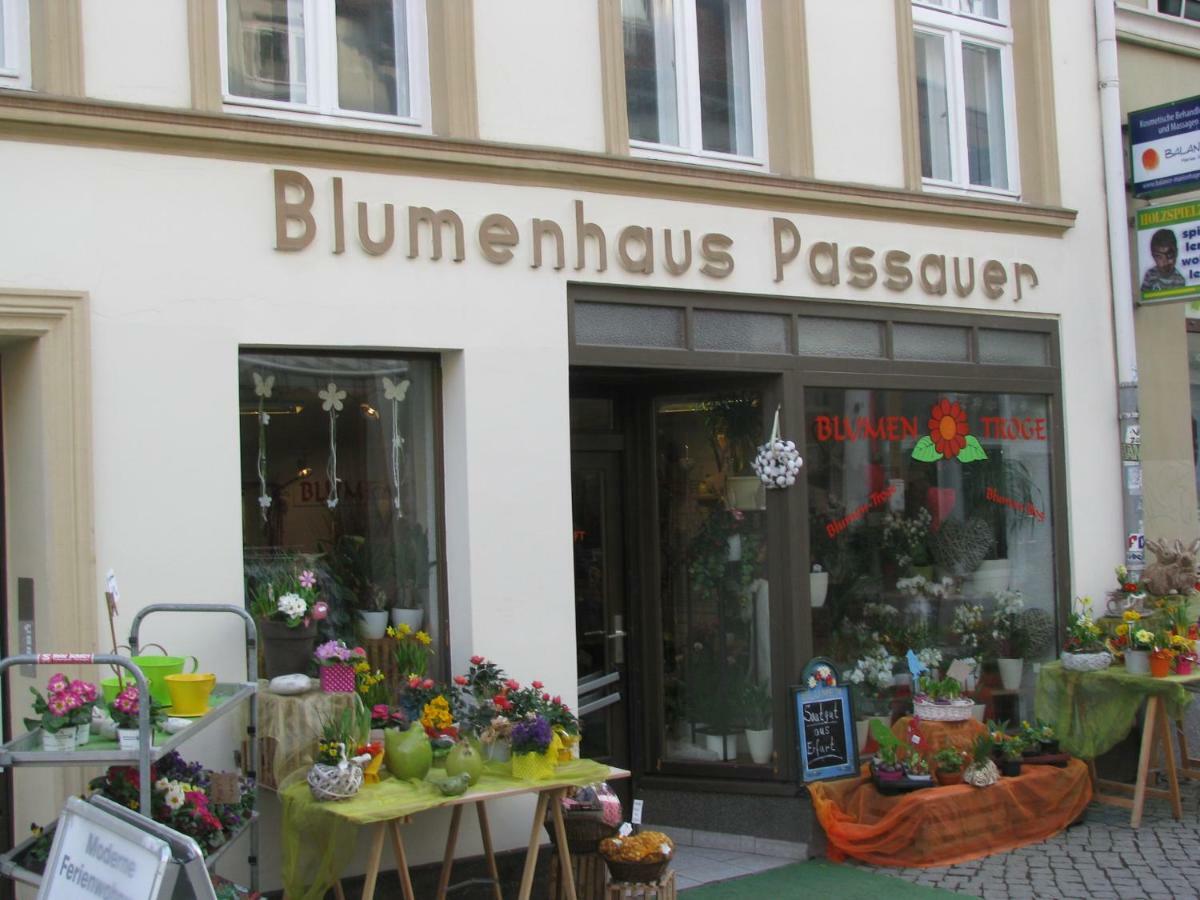 2 Ferienwohnungen Mitten In Der Innenstadt Greifswald Bagian luar foto