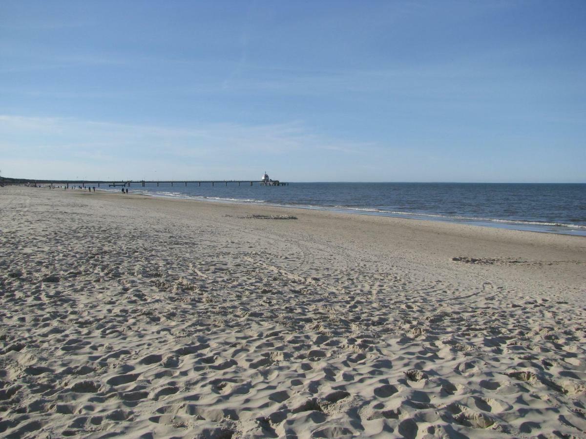 2 Ferienwohnungen Mitten In Der Innenstadt Greifswald Bagian luar foto